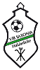 VfB Saxonia Halsbrücke