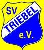 SV Triebel