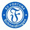 SV Fortuna Schneidlingen