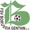 FSV Borussia Genthin