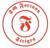 SV Fortuna Steigra