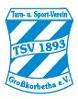 TSV 1893 Großkorbetha