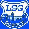 LSG Goseck