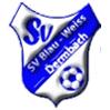 SV Blau-Weiß Dermbach 1872