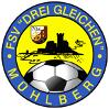 FSV Drei Gleichen Mühlberg