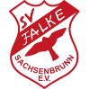 SV Falke Sachsenbrunn