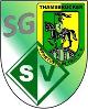 SV Grün-Weiß 1920 Schönstedt