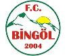 FC Bingöl 12