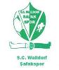 SC Walldorf Safak Spor