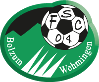 FSC Bolzum/Wehmingen