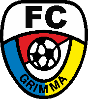 FC Grimma