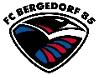 FC Bergedorf 85