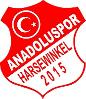 Anadoluspor Harsewinkel