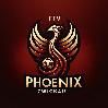 FFV Phoenix Zwickau