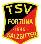 TSV Fortuna Salzgitter (9er)