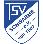 TSV Schwarme U13 (RS)