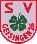 SV Geisingen