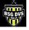 BSG Dvs