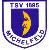 TSV 1895 Michelfeld