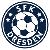 Soccer for Kids Dresden U12