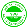 SVG GW Bad Gandersheim