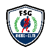 FSG Asse-Elm