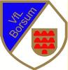 VfL Borsum