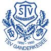 TSV Ganderkesee III