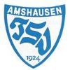 TSV Amshausen II