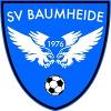 SV Baumheide