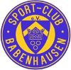 SC Babenhausen II