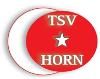 Türkischer SV Horn