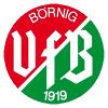 VfB Börnig III