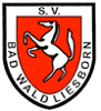 SV Bad Waldliesborn