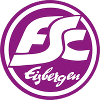 FSC Eisbergen