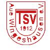 TSV Aue-Wingeshausen II