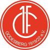 1. FC Godesberg II