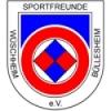 Sportfreunde Wüschheim-Büllesheim 2