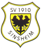 SV Sinsheim 2