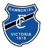 FC Victoria Bammental