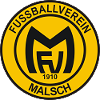 FV Malsch 2