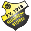 FV Muggensturm 3