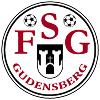 FSG Gudensberg III