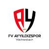 Ayyildizspor Wächtersbach