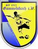 SV Gammelsbach