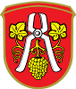 SG Hallgarten II/FC Oestrich