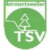 SGM TSV Ammertsweiler/VFL Mainhardt II