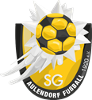 SGM SG Aulendorf Fußball 1920/Blönr/Ebersb