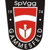 SGM SpVgg Gammesfeld/Schrozberg/Bartenstein