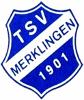 TSV Merklingen II